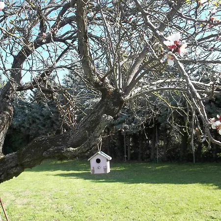 A Casa Vittoria 3*
